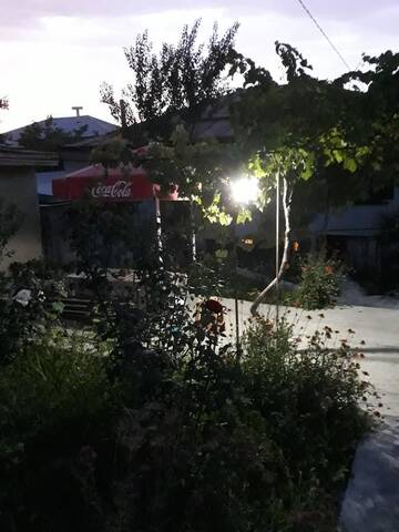 Фотографии Гостевой дом guesthouse "Leila" г. Телави (Грузия) №3 Фото Гостевой дом guesthouse "Leila" г. Телави 3