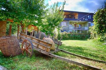 Фотографии Гостевой дом Bucha`s Guest House & Wine Cellar г. Телави (Грузия) №1 Фото Гостевой дом Bucha`s Guest House & Wine Cellar г. Телави 1