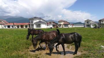 Фотографии Курортные отели Paradise Investment Resort г. Телави (Грузия) №4 Фото Курортные отели Paradise Investment Resort г. Телави 4