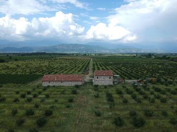 Фотографии Виллы Mestvireni г. Телави (Грузия) №2 Фото Виллы Mestvireni г. Телави 2