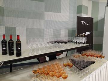 Фотографии Гостевой дом Cabernet Tali г. Телави (Грузия) №5 Фото Гостевой дом Cabernet Tali г. Телави 5