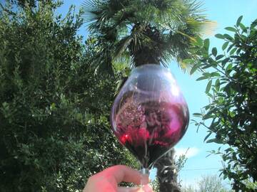 Фотографии Гостевой дом Cabernet Tali г. Телави (Грузия) №1 Фото Гостевой дом Cabernet Tali г. Телави 1