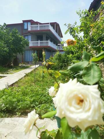 Фотографии Гостевой дом Guesthouse Neli&Makho г. Телави (Грузия) №1 Фото Гостевой дом Guesthouse Neli&Makho г. Телави 1