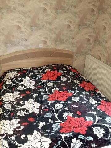 Фото номера Двухместный номер с 1 кроватью Гостевой дом Guest House Medea г. Телави 3
