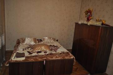 Фото номера Трехместный номер с основными удобствами Гостевой дом Guest House Cico г. Телави 5