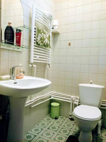 Фото номера Двухместный номер Делюкс с 1 кроватью Гостевой дом GREEN LUX GUESTHOUSE г. Телави 12
