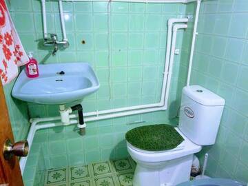 Фото номера Двухместный номер Делюкс с 1 кроватью Гостевой дом GREEN LUX GUESTHOUSE г. Телави 53