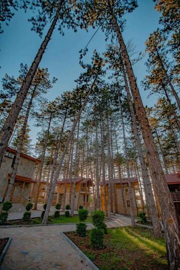 Фото номера Улучшенное шале Курортные отели Old Telavi Resort &amp; Spa Zuzumbo г. Телави 25
