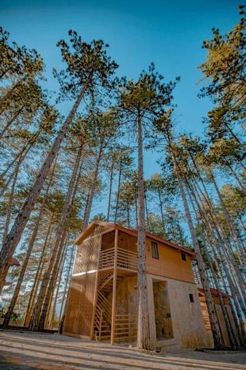 Фото номера Улучшенное шале Курортные отели Old Telavi Resort &amp; Spa Zuzumbo г. Телави 26