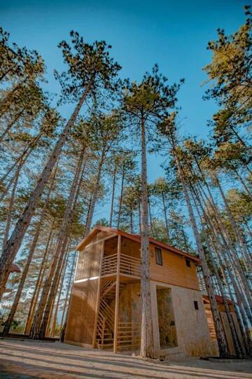 Фото номера Улучшенное шале Курортные отели Old Telavi Resort &amp; Spa Zuzumbo г. Телави 7