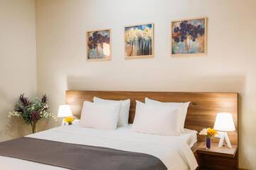 Фото номера Стандартный двухместный номер с 1 кроватью Отель Telavi Inn г. Телави 6